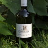 Sauvignon Blanc 2023 vom Karnerhof steht im Gras